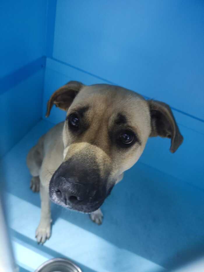 ������������� ��������� ������. ������ �� �� ���-������?