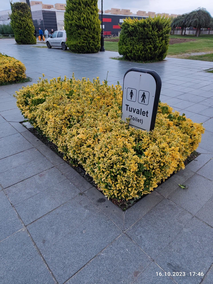 Очень удобный тувалет :)