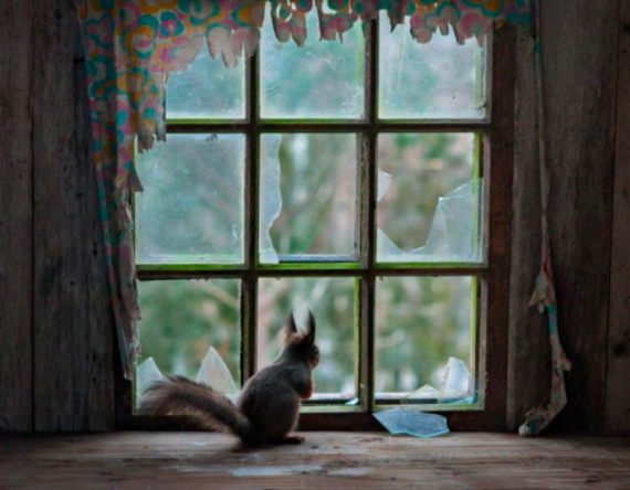 Фото: Кай Фагерстром