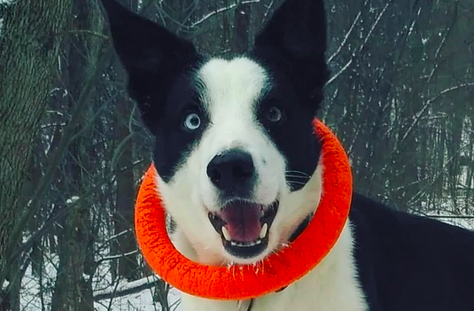 ���� ���������� ���-����� ���� ������� ������� ����� ������������� � ������