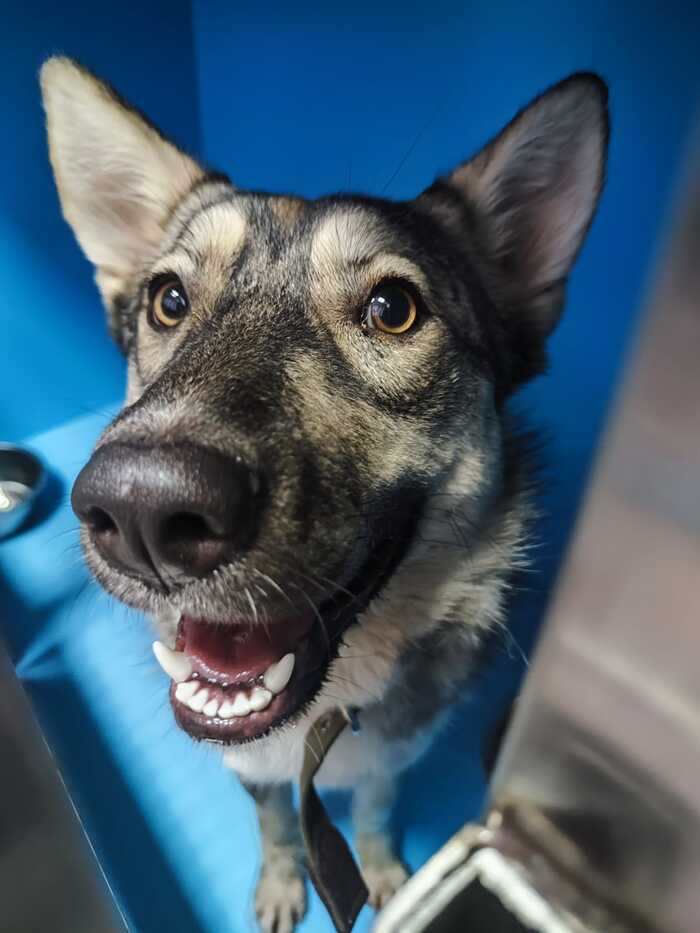 ������, ������� ��������� �����