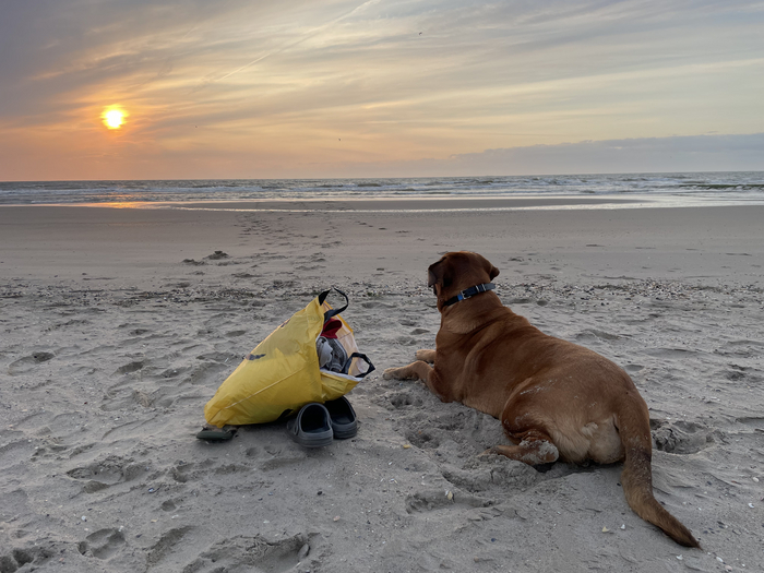 ������� - ��������� ��������� ������ ))