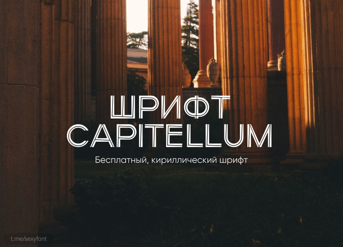  Capitellum.  , Photoshop, , , , 