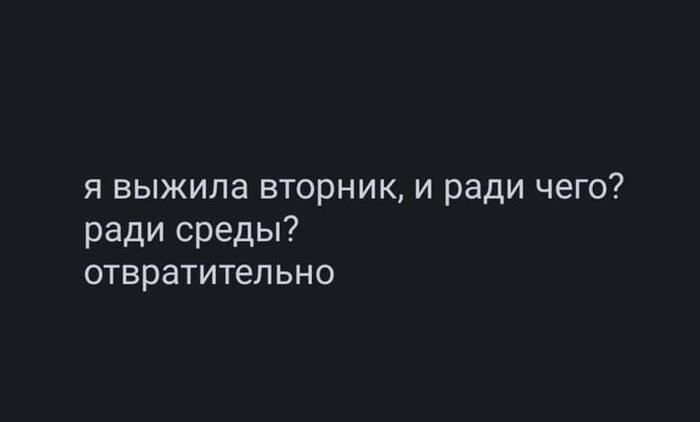   ,   , , , , Telegram ()