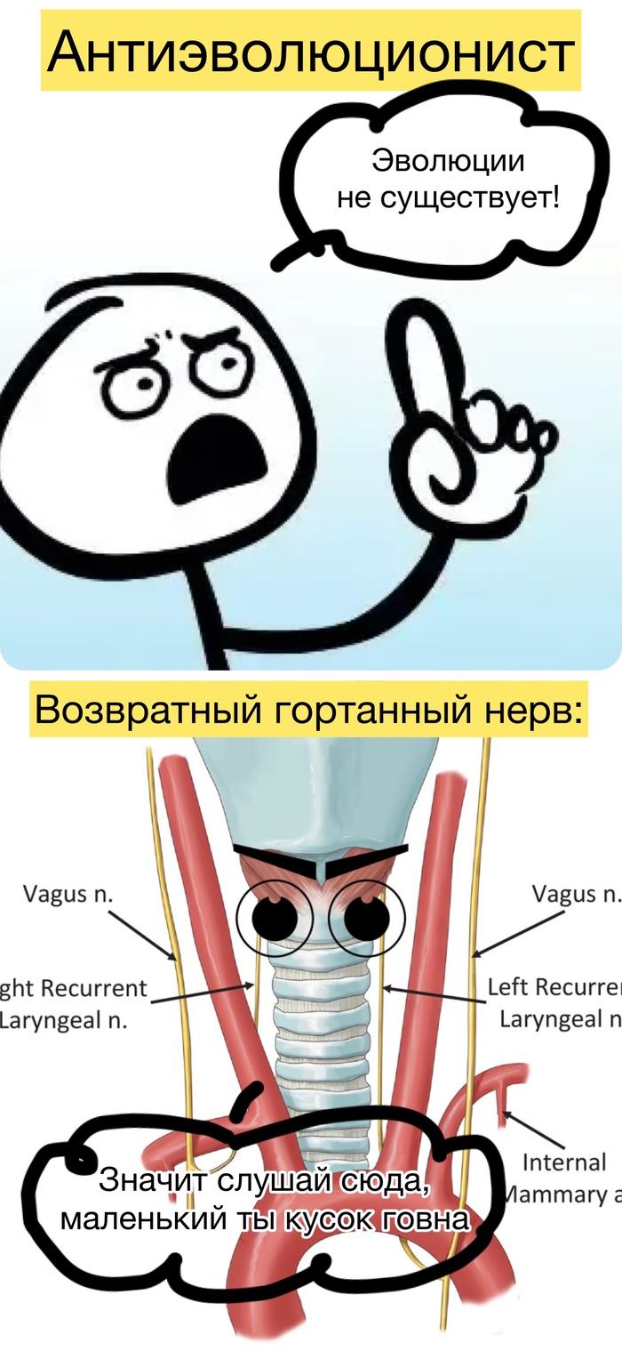 Давно зрел этот мем в голове