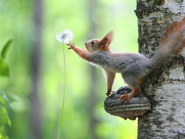 Немного милоты в ленту)