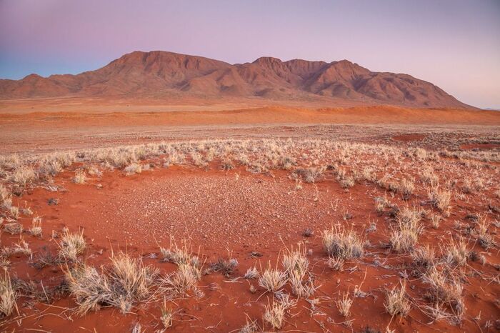 Пустыня Намиб