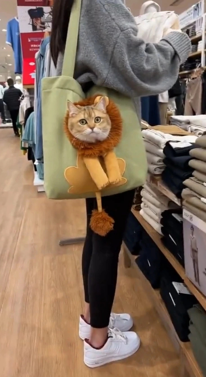 Котошопинг или шопокотинг?