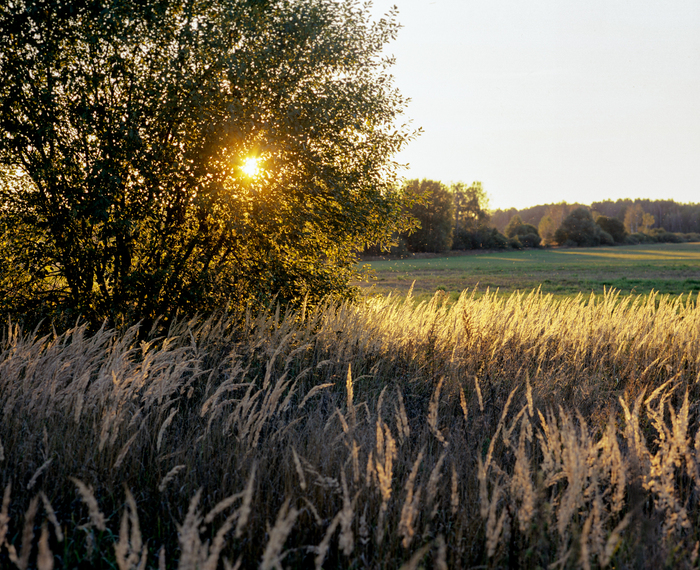 Mamiya RZ67, Fuji velvia 100