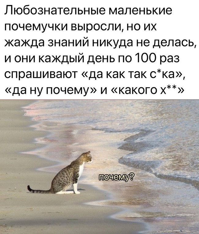 Взрослые почемучки | Пикабу