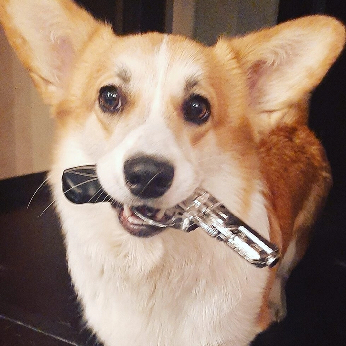 ������))