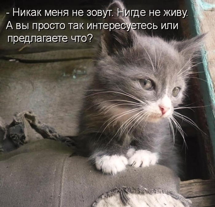 Вот что с ними делать?