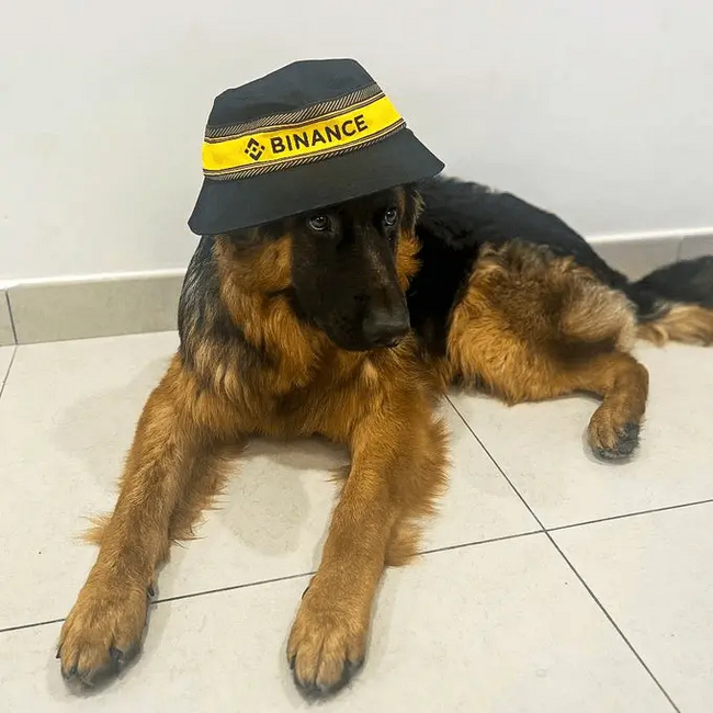 Пользователи, которые все ещё верили в то, что Binance останется