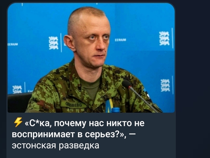 Если бы Эстония была мемным сообществом на Пикабу, то там бы были одни баяны