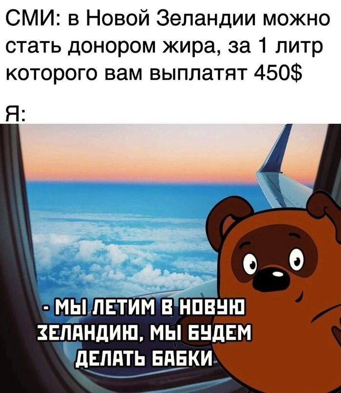 Донор жира | Пикабу