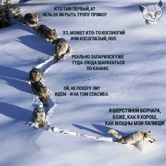 _____________________________________________________________________________________