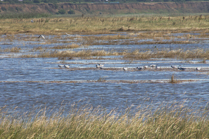 ����� � ������