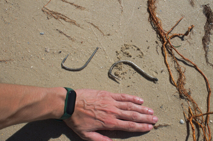 � ��� ������ ������� ����� (���� ������������ �� ����, ��� ���� ��� ��������������)