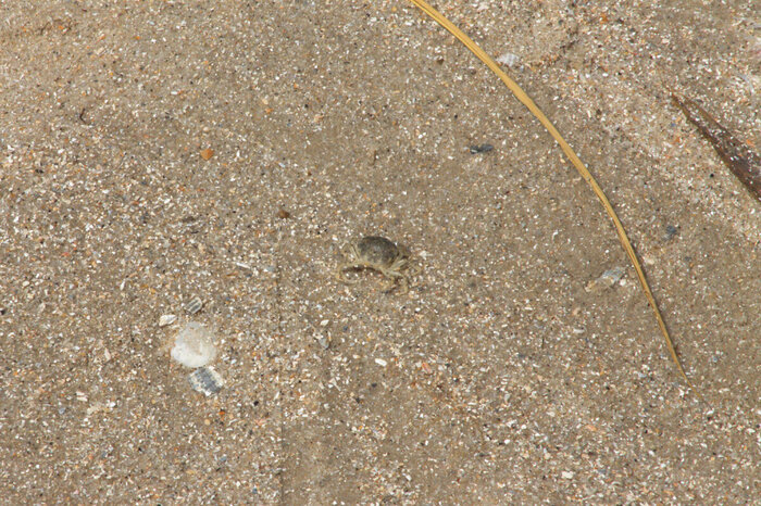 ���� ������������� ������.