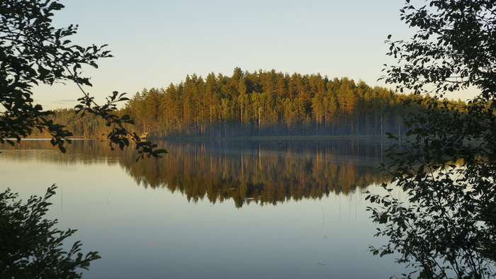 ��. ����-�����