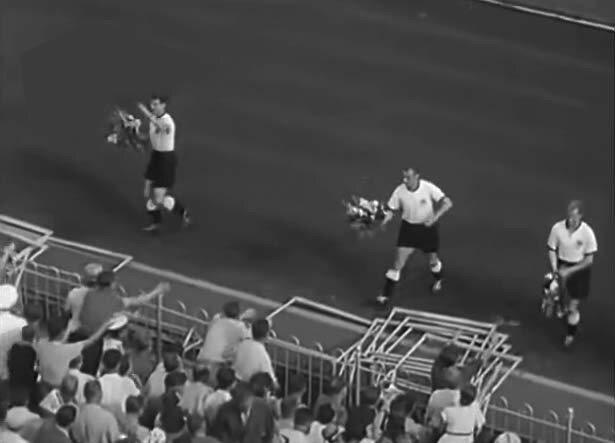 Передача цветов публике. Дружественная и радостная атмосфера, летнее настроение