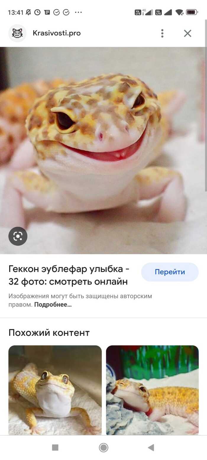 живого нельзя, значит нарисую и свяжу.