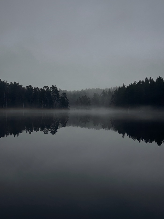 Сайлент Хилл в Ленобласти Природа, Туман, Silent Hill, Длиннопост