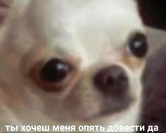 ������ ����� ���� �� ������...