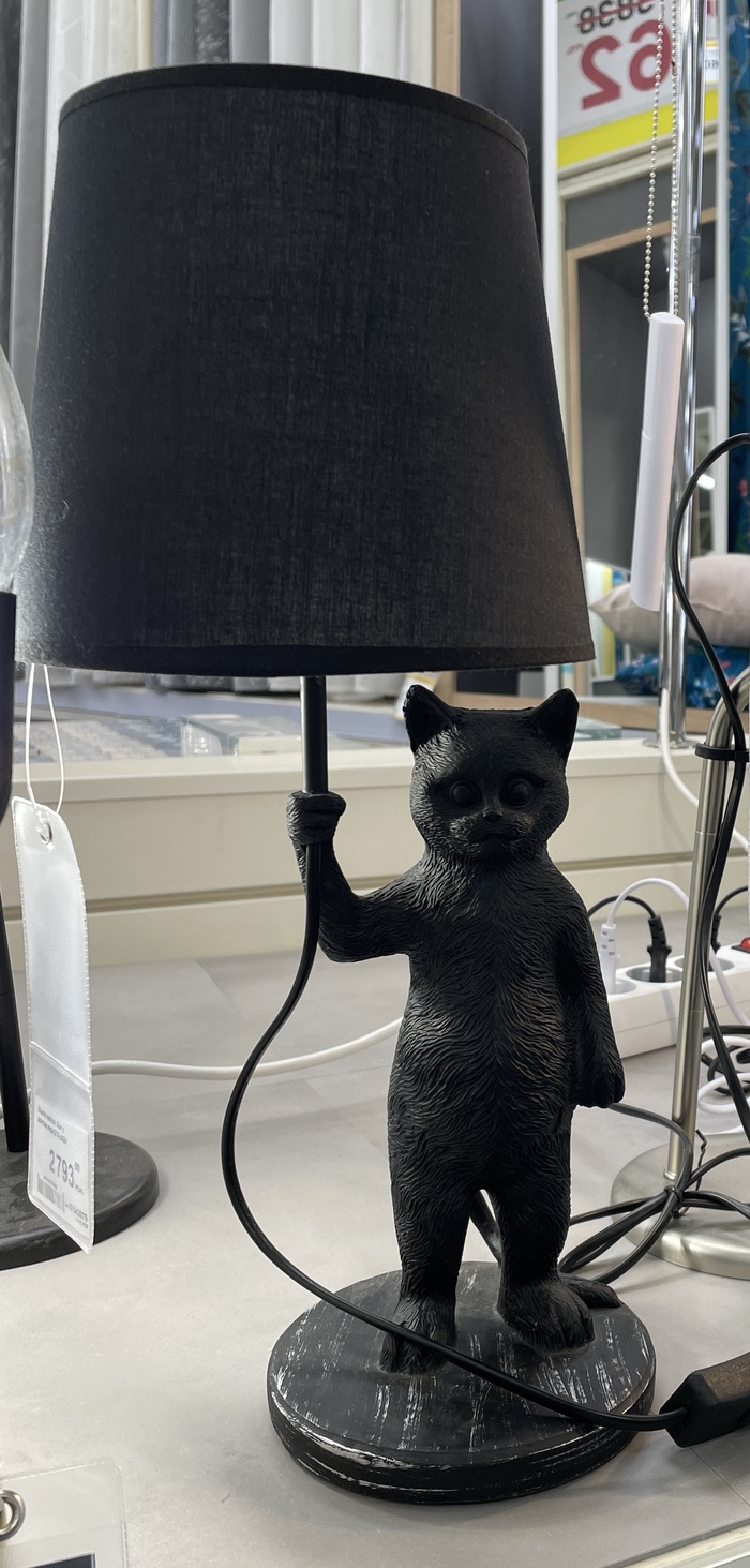 Кота вам с лампой