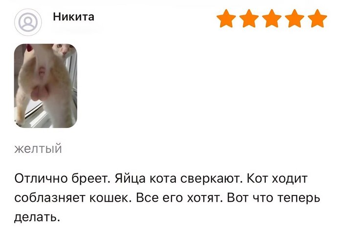Отзыв на машинку для стрижки кота