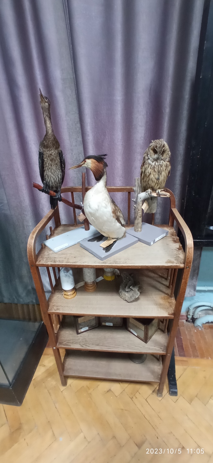 Экспонаты кабинета естествознания