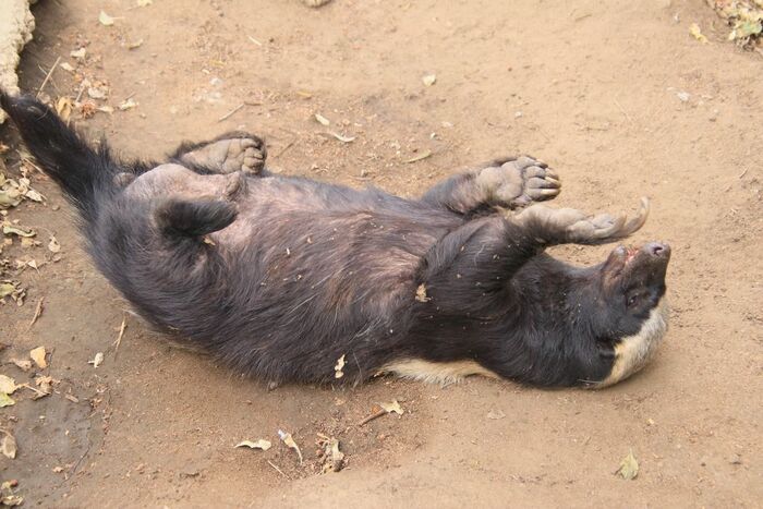 С виду - сама милота