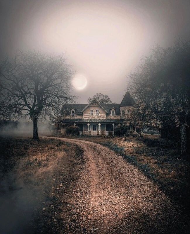 Этот дом идеально подходит для съемок фильма ужасов.