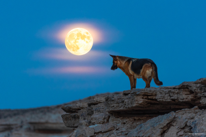 Схватил на телевик удачный момент.