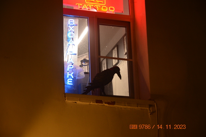 Эх, весьма долгое время ко мне обращались по кличке «Грачик», у меня многое было с этим связано... теперь лишь от этого остался кулон с порванной верёвкой