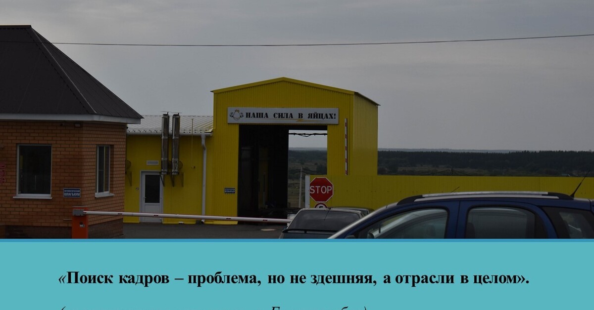 Плакат на воротах: на птицефабрику в Борисоглебске (Воронежская область