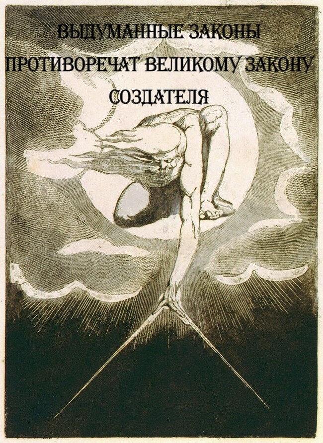 Создатель | Пикабу