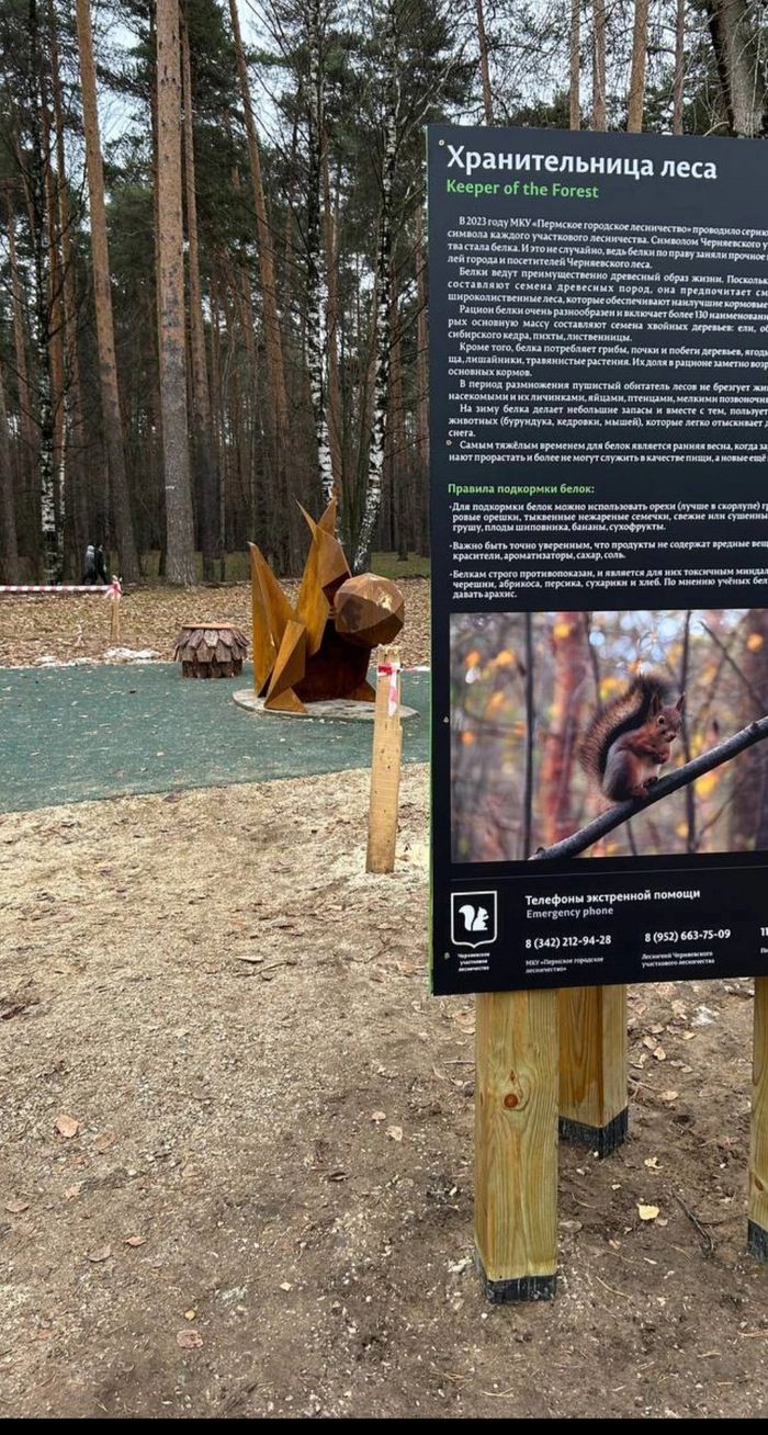 ��� �����