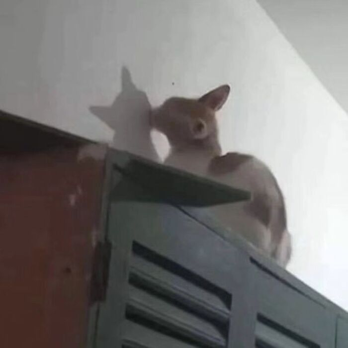    , , 