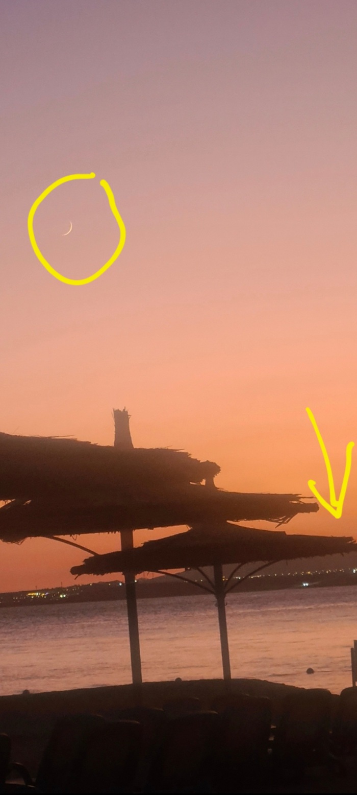          .       15 ,   .            ?        ))