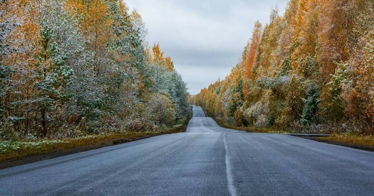 Дорога первый снег. Лес Квебек Канада. Дорога в осень. Поздняя осень дорога. Ноябрь дорога.