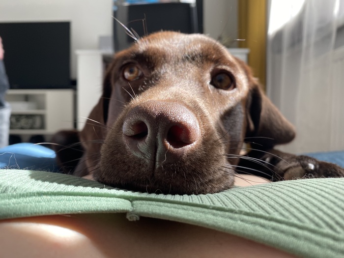 ��� ������ ������