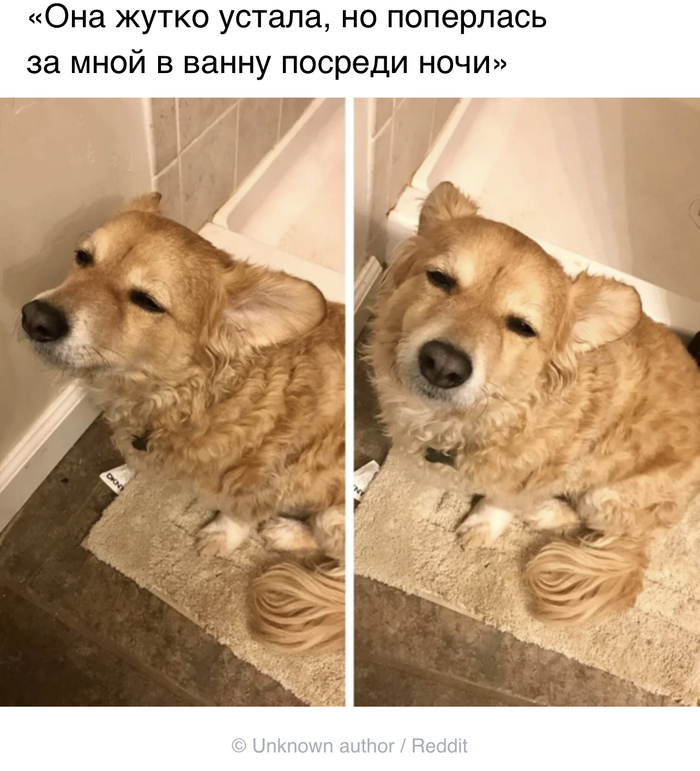  , ADME, , 