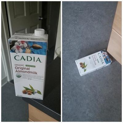 Кадия пала. Фото в цвете