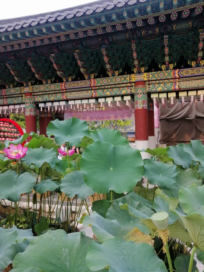 ������ �� ���������� ����� ������