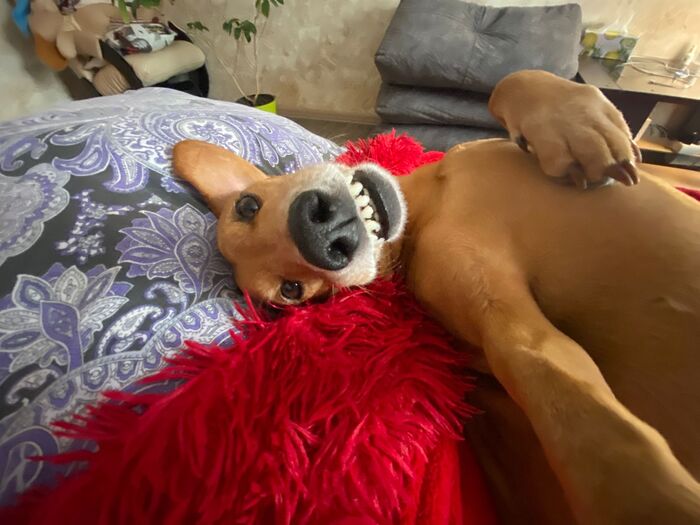 ����� ������)