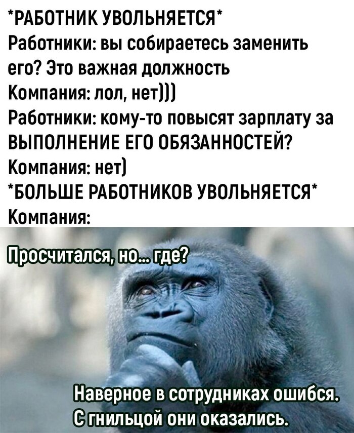 Просчитался, но...где? | Пикабу
