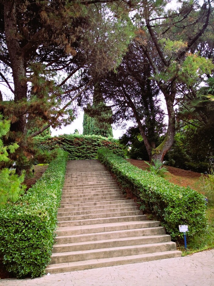 Расстреляли, а затем поставили памятник. История парка "Южные культуры" в Адлере