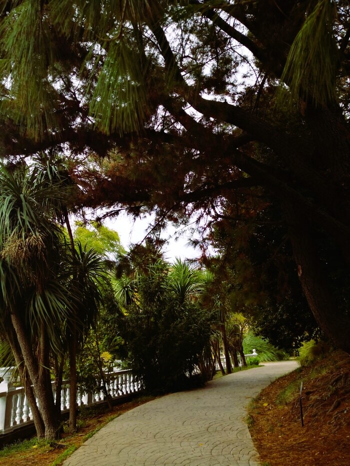 Расстреляли, а затем поставили памятник. История парка "Южные культуры" в Адлере