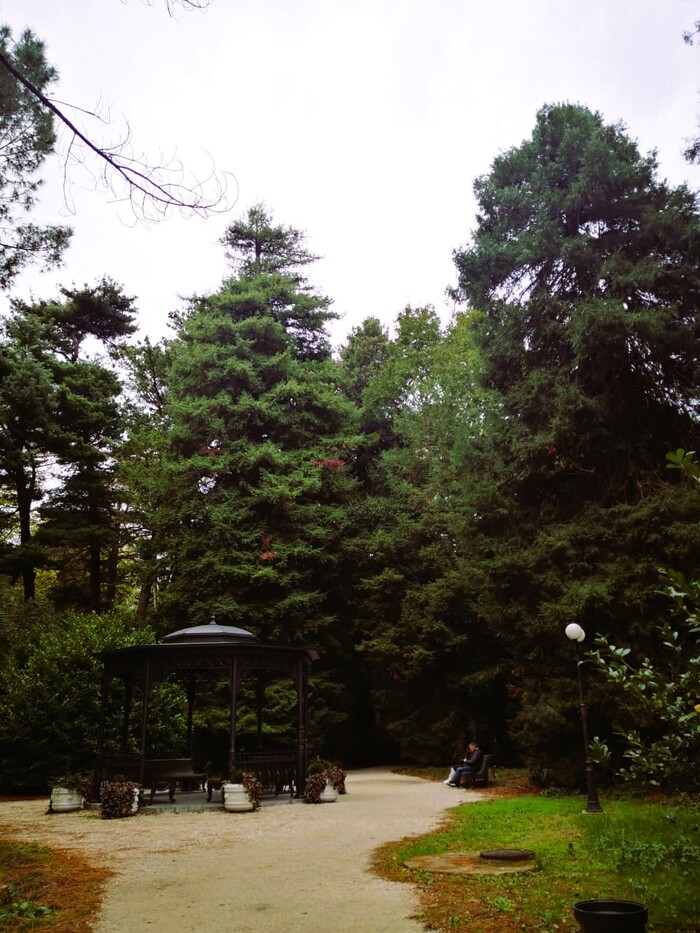 Расстреляли, а затем поставили памятник. История парка "Южные культуры" в Адлере